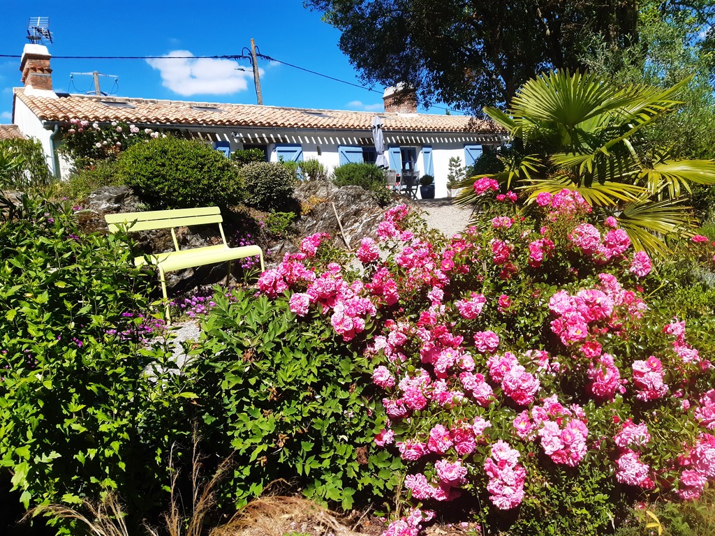 Dans le jardin.