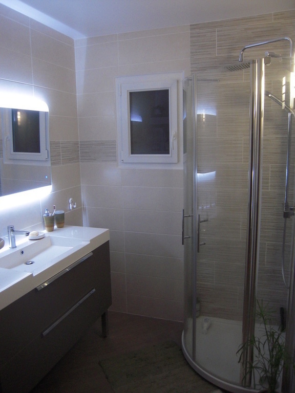 our new bathroom with shower downstairs