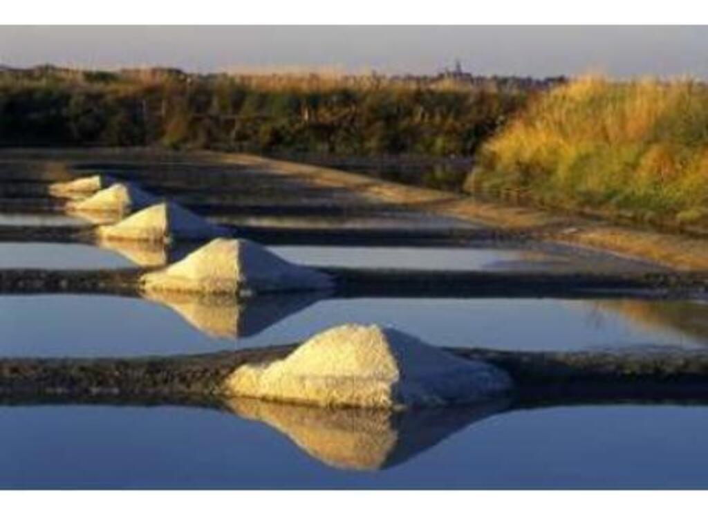 LES  MARAIS SALANTS PRES DE GUERANDE