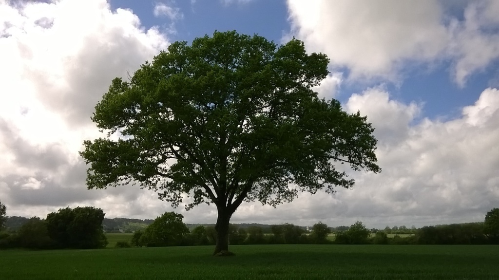 countryside near our house