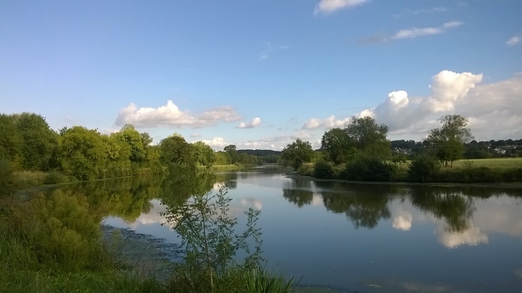 River " La Vilaine"  is easy to join by foot from our home (500 meters) and to make beautifull walks