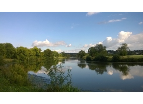 River " La Vilaine"  is easy to join by foot from our home (500 meters) and to make beautifull walks