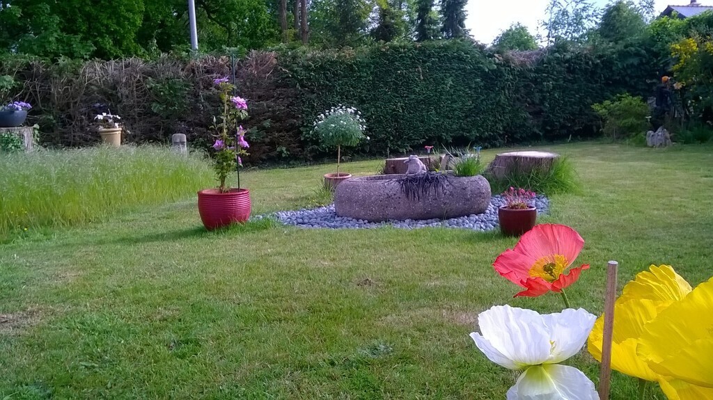 our garden on 10/05/2017...