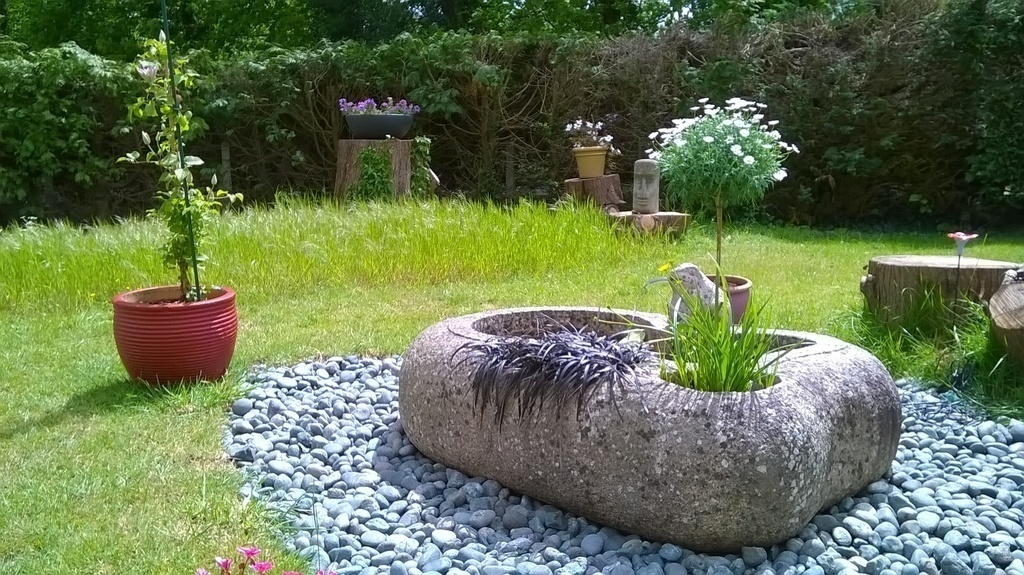 our pond (2 fishes) in our garden 