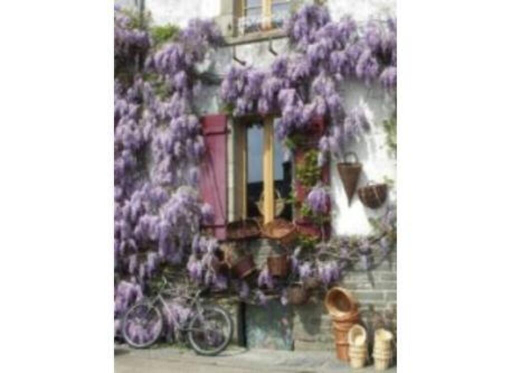 ROCHEFORT EN TERRE ET SES ARTISANS