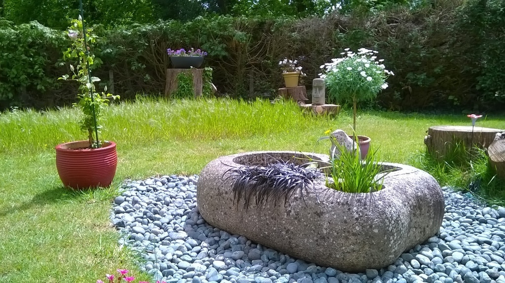 our pond (2 fishes) in our garden 
