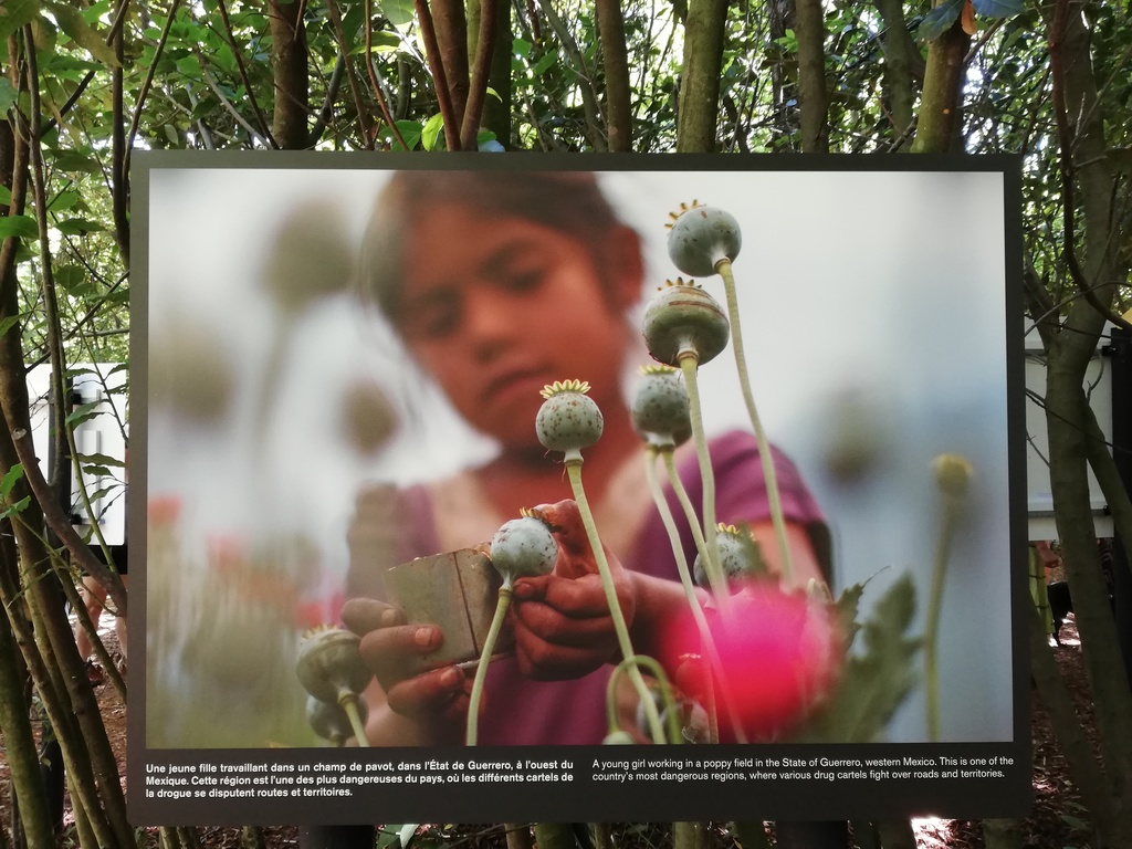 Festival de photos à la Gacilly tout l'été