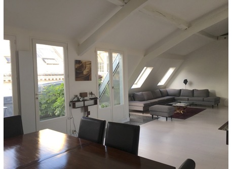 Typical parisian loft with terrace