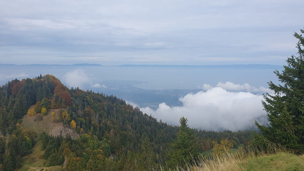 the lake as seen from Mont Forchat 