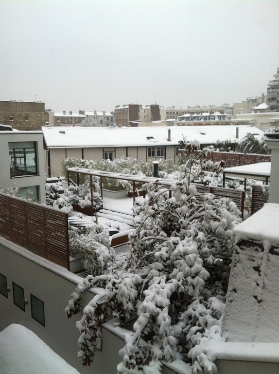our view from the kitchen into the backyard