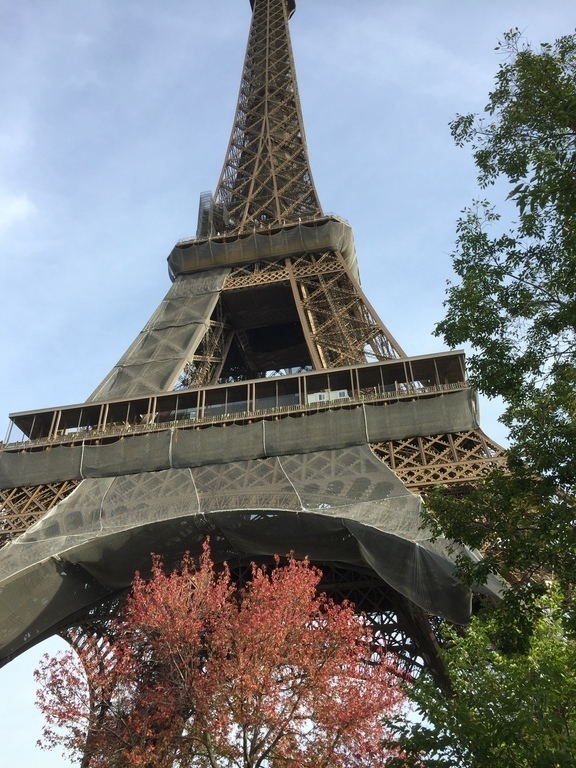 The Eiffel Tower in Autumn