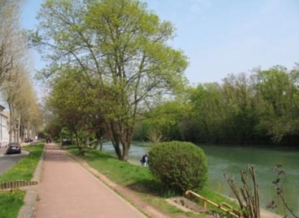 Path on the river bank