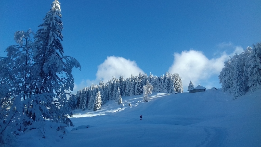 petite station de ski familiale  "le Revard" à 20 mn de voiture 