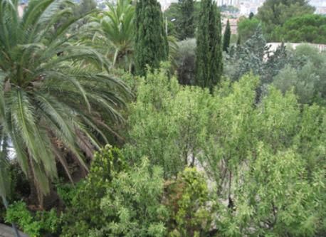 Cote d'Azur Flat, the flat garden