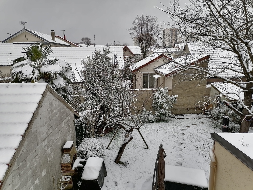 The garden in winter