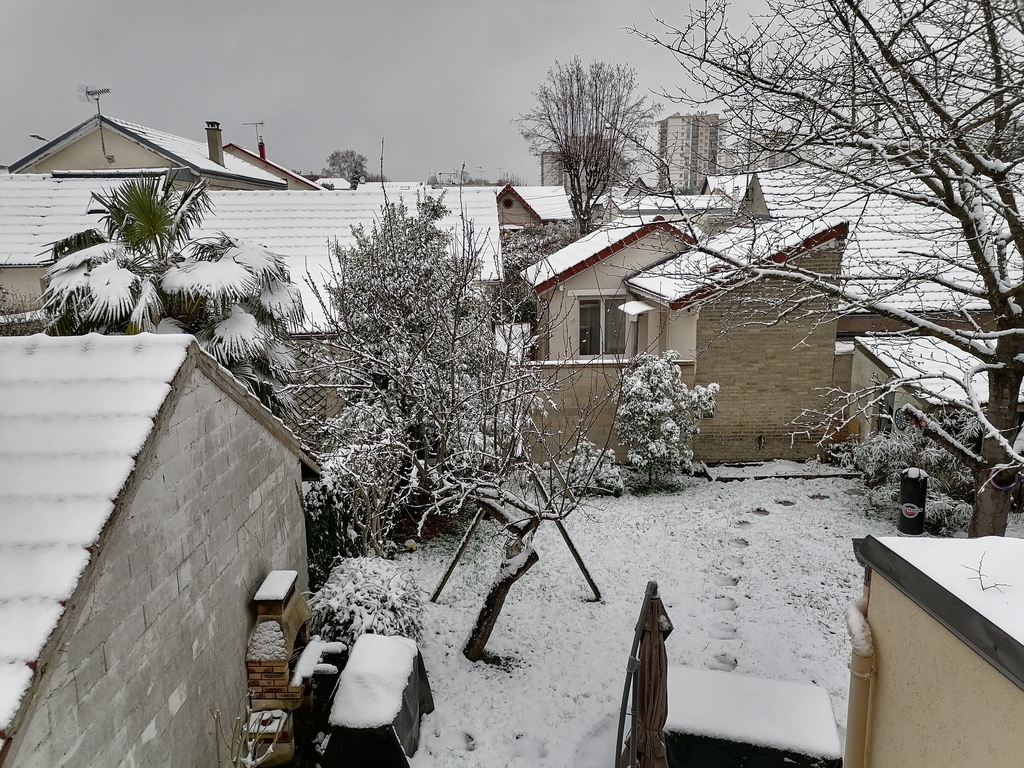 The garden in winter