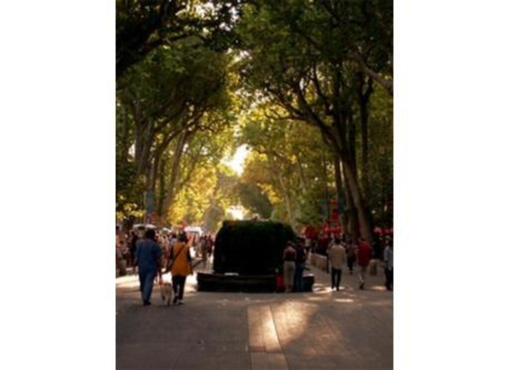 Aix en Provence, le cours Mirabeau 