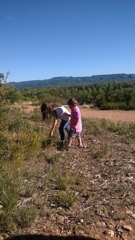 in la Guarrigue, nice place for walking, cycling and so on, 5 min from home