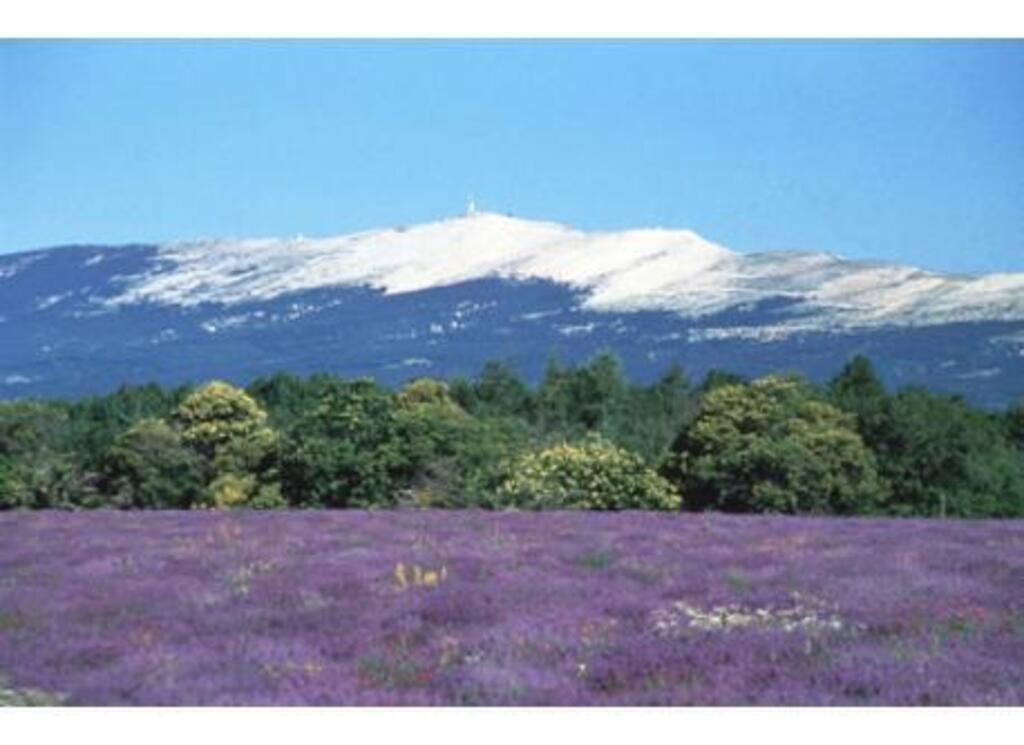 Mont Ventoux 