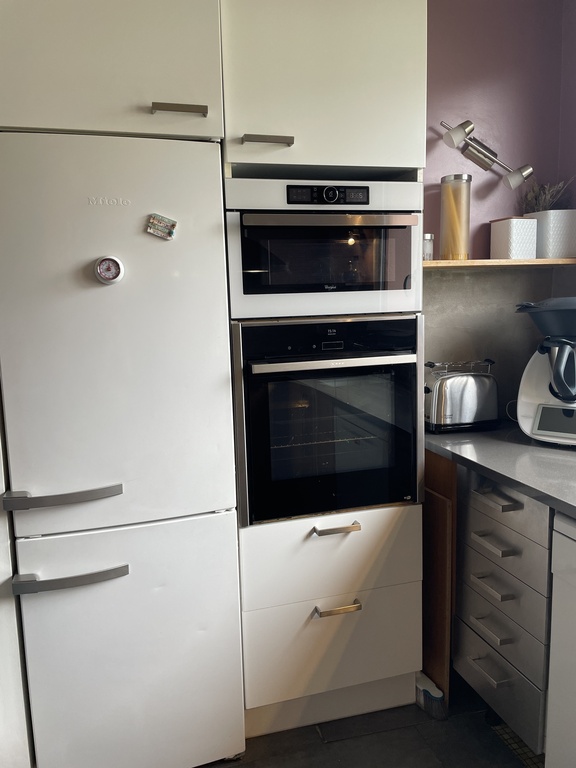 Kitchen (fridge, oven, microwave oven)