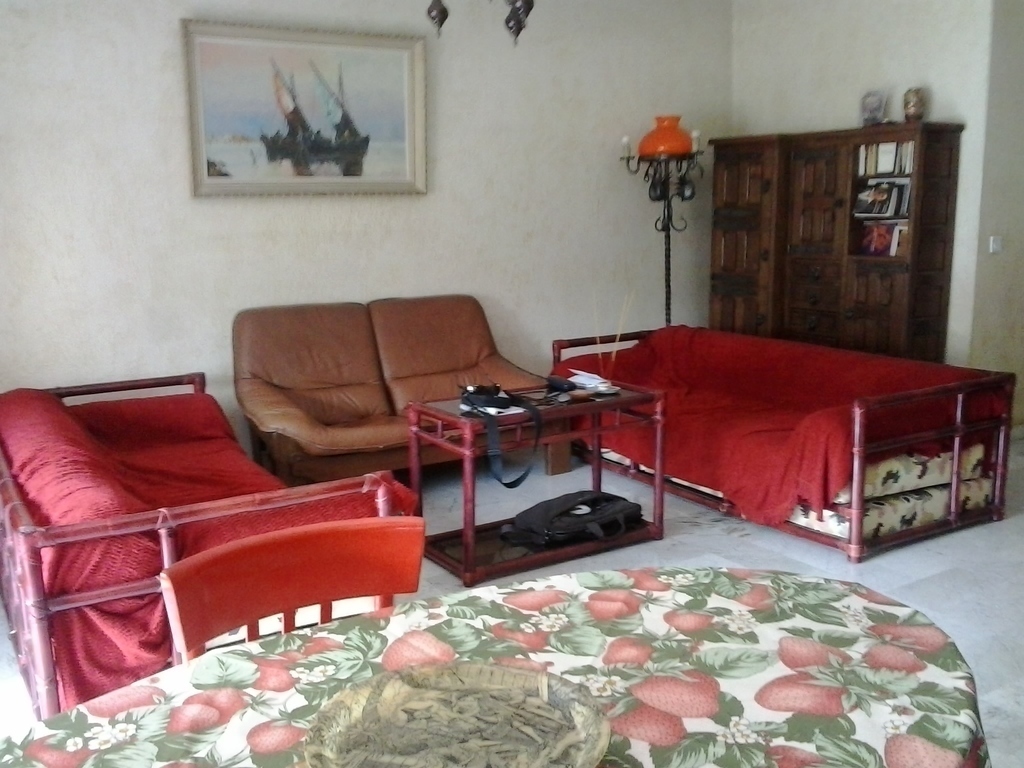 The living room  Cannes