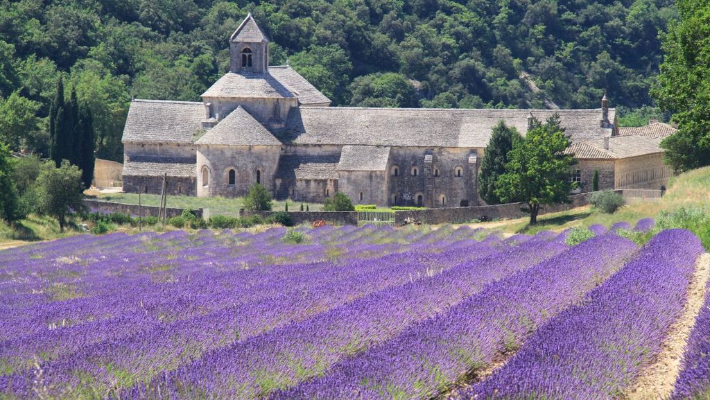 L'abbaye de Sénanque en Provence 