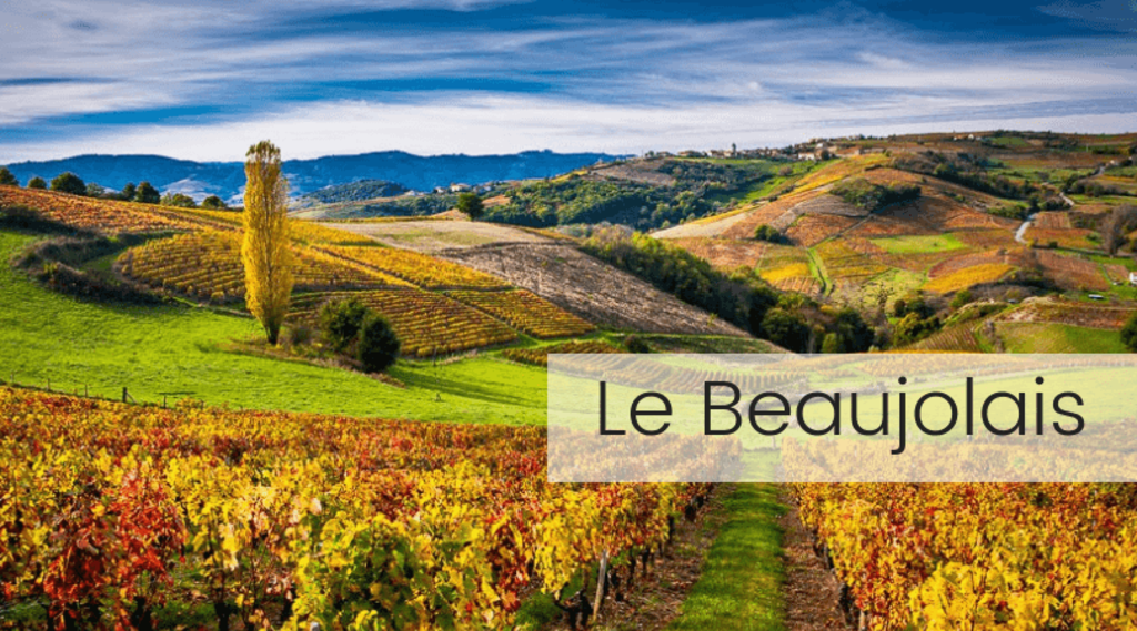 Le vignoble du Beaujolais 