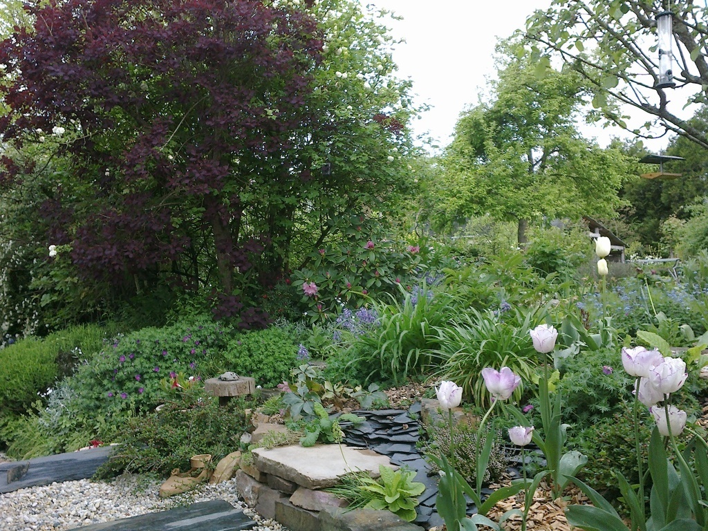 Vue du jardin depuis la véranda, fleurs du printemps