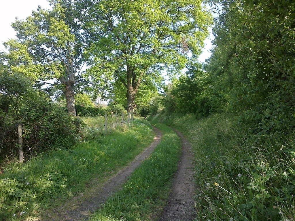 Des promenades accessibles de la maison, à pied...Un chemin creux.