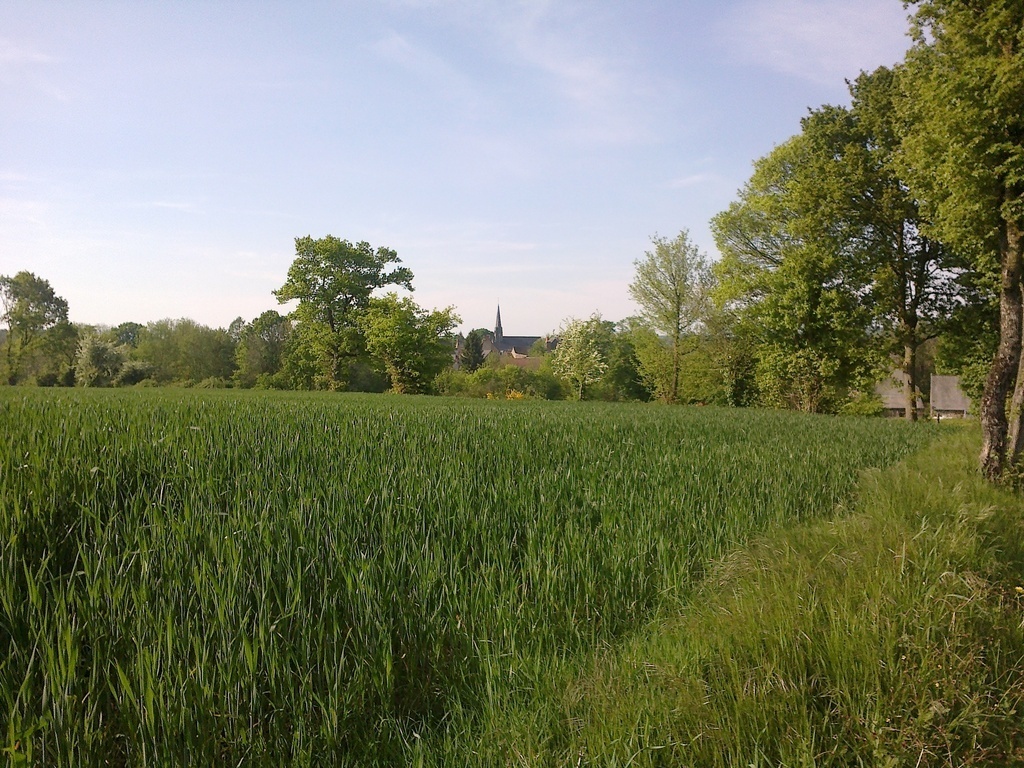 Le clocher du village, aperçu depuis le chemin.
