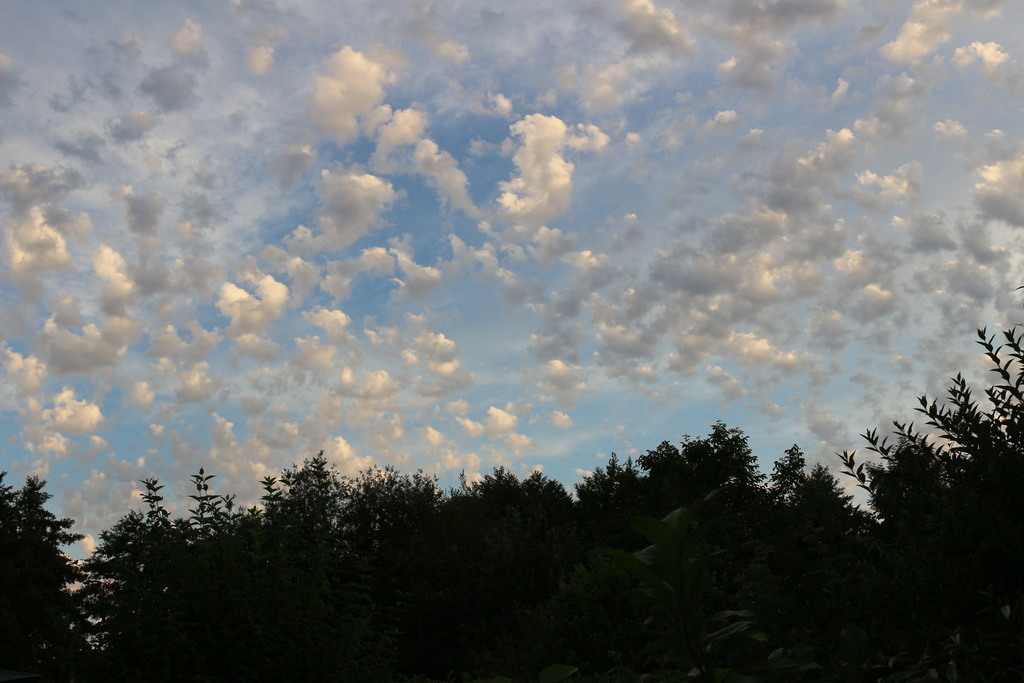 Un très joli ciel en soirée