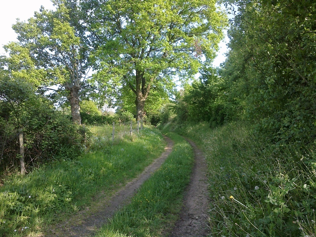 Des promenades accessibles de la maison, à pied...Un chemin creux.