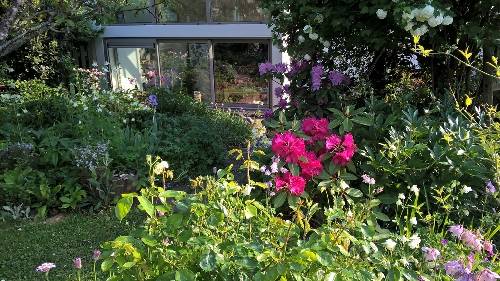 Le jardin à la fin du printemps