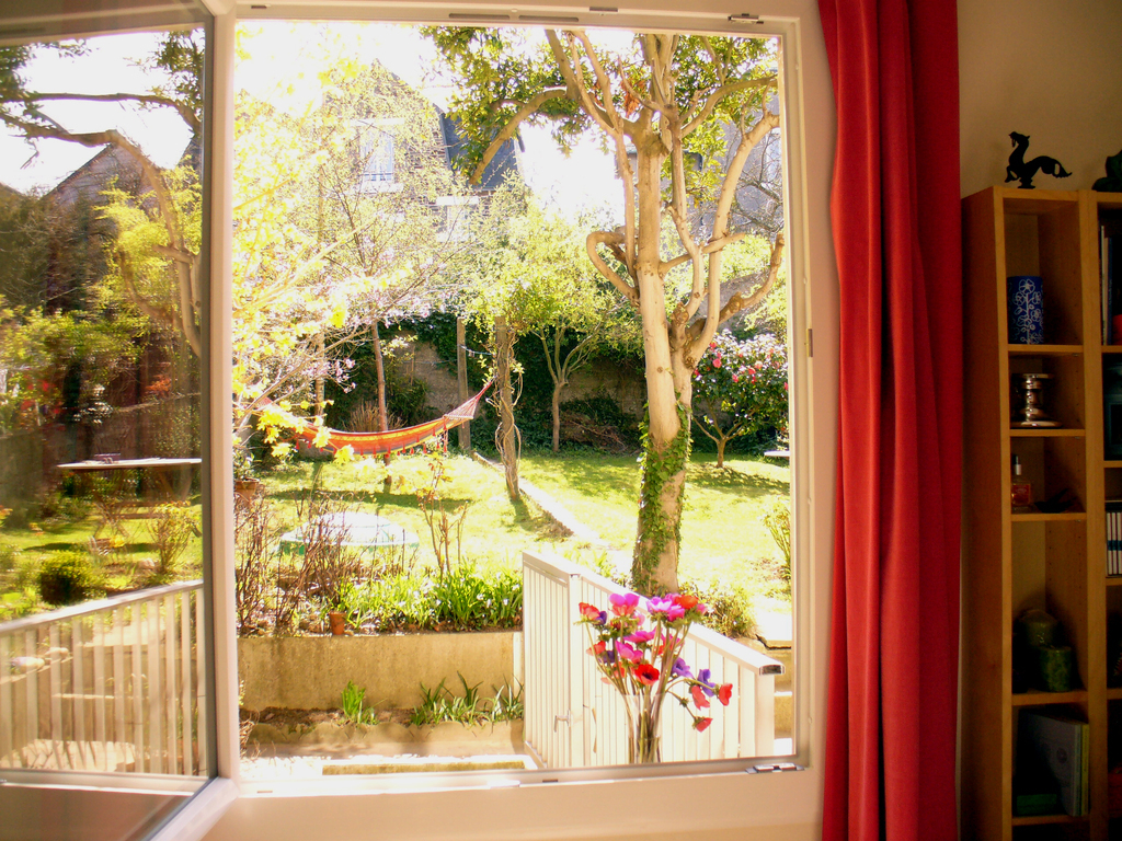 The garden from living room