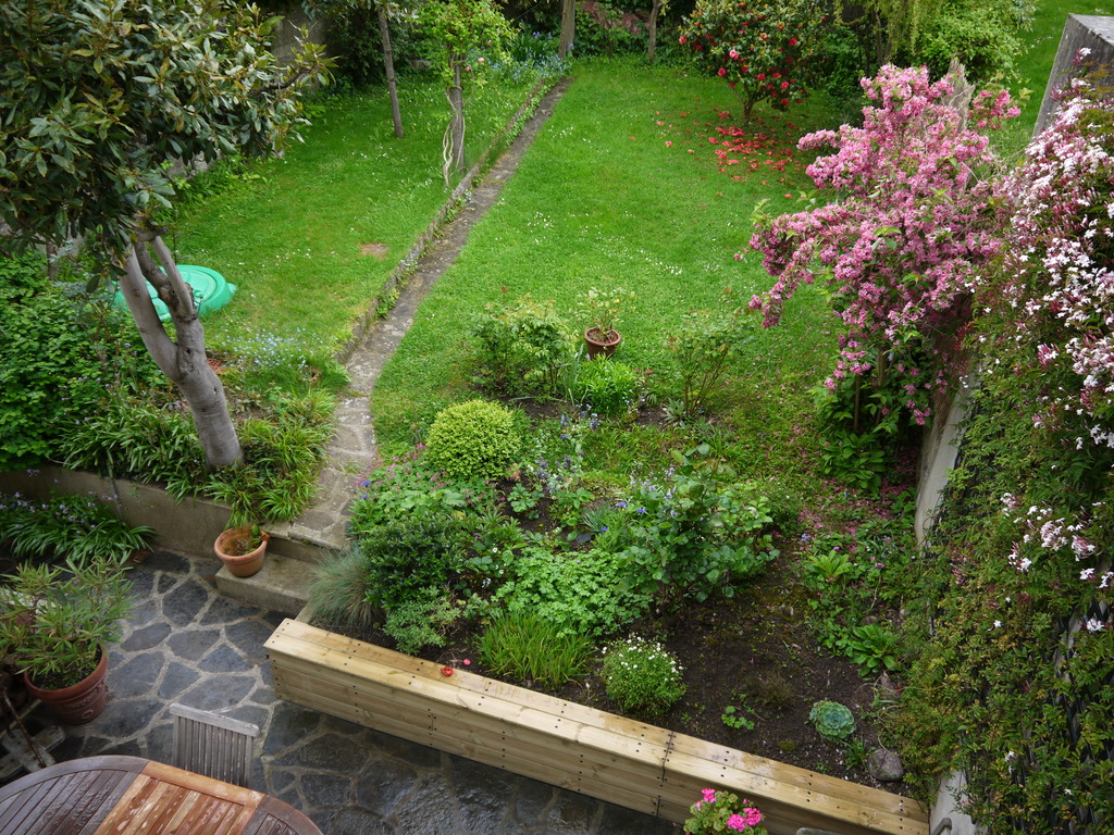 Garden, spring 2015