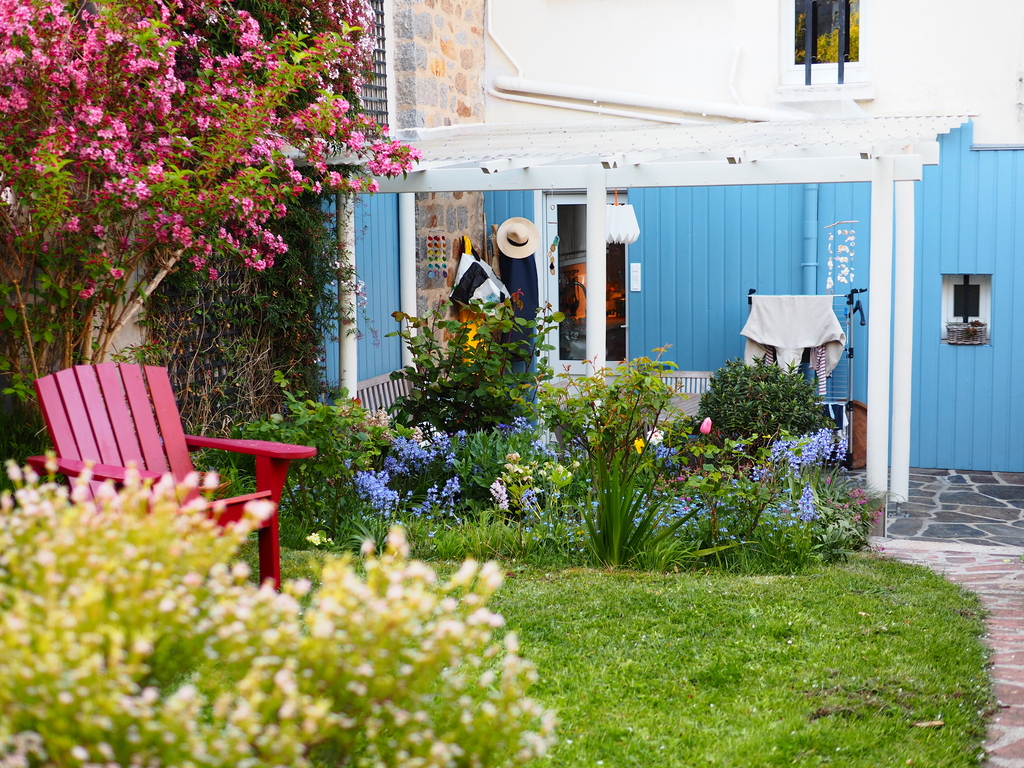 Garden and Pergola. kitchen's door 