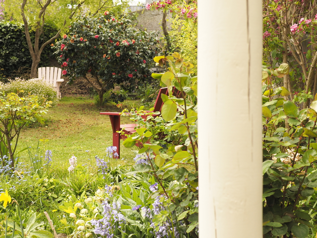 Garden, view from the pergola.