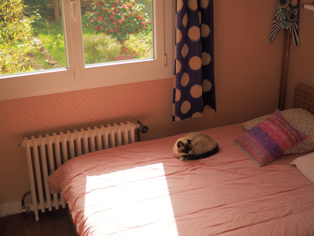 Bedroom n°3 (Adèle's) - Double bed - 2nd floor