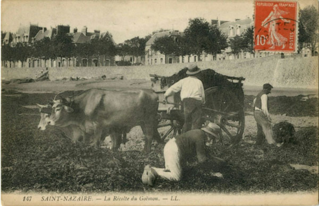 museum 
Cartopole Baud