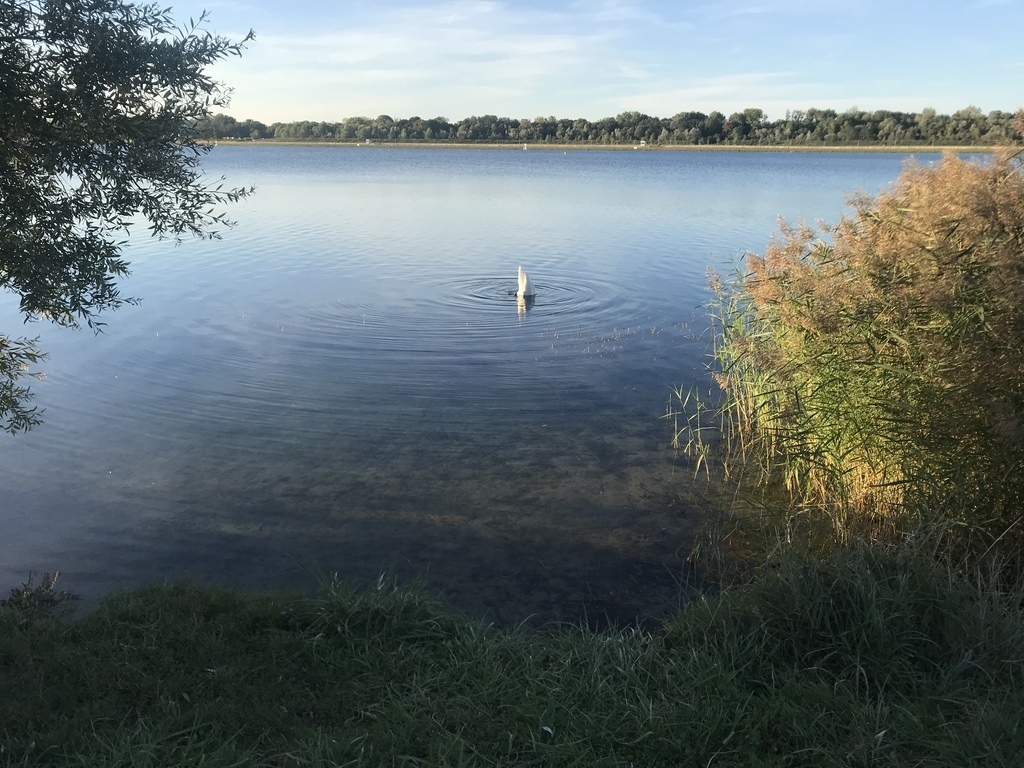 Vaires lake near Chelles (15’ walk from house)