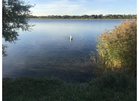 Vaires lake near Chelles (15’ walk from house)