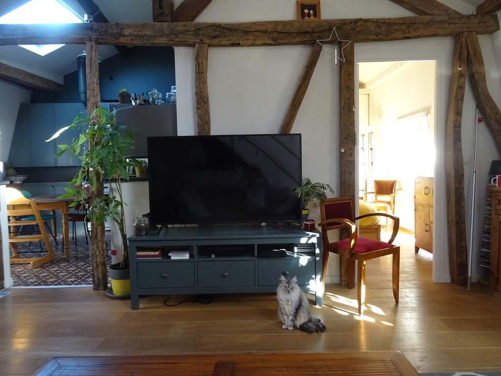 sitting room / salon