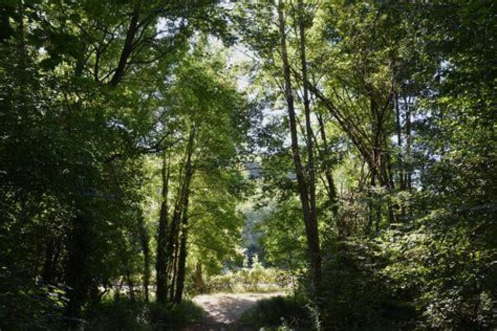 Le Parc de la Burthe à 5mn de marche de la maison