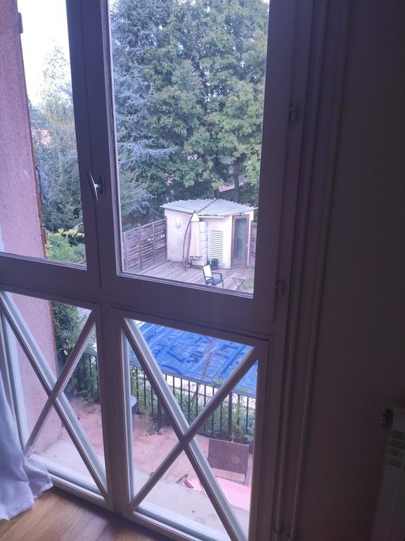 View on the backyard