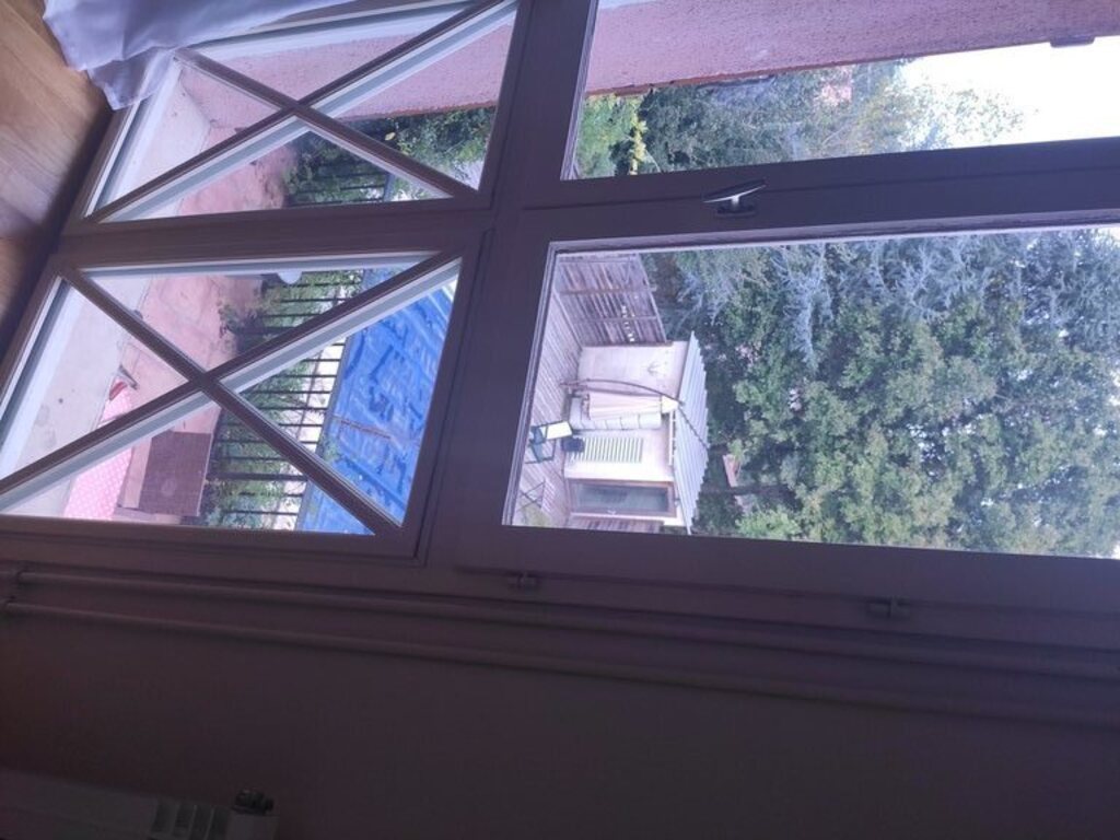 View on the backyard