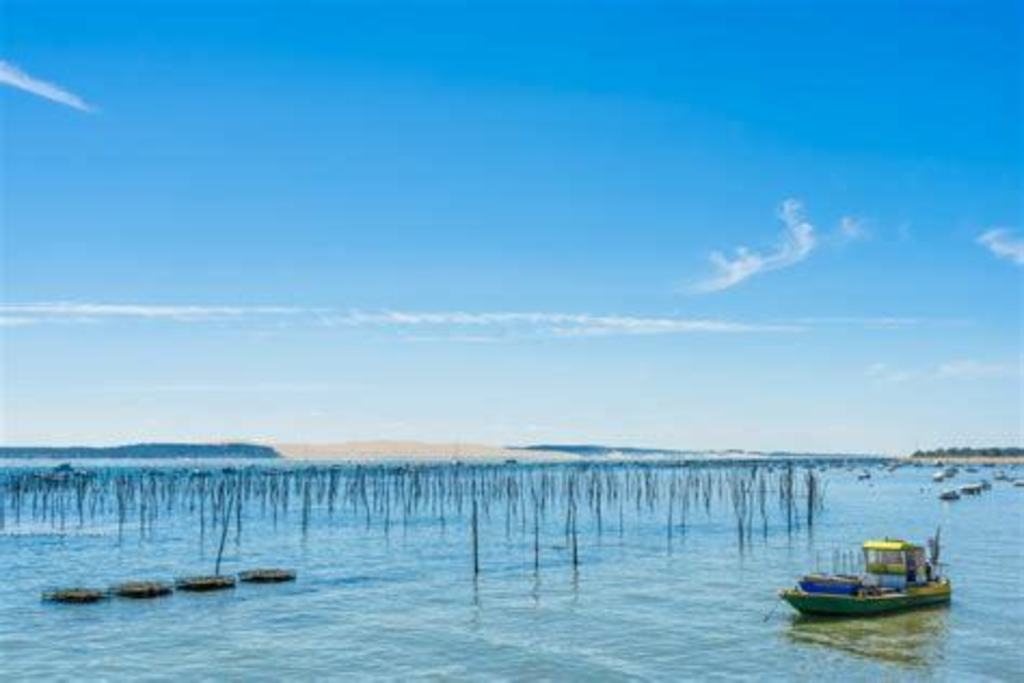 Le Cap Ferret à 1h de route