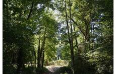 Le Parc de la Burthe à 5mn de marche de la maison