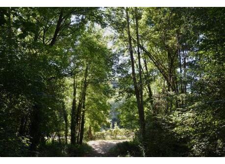 Le Parc de la Burthe à 5mn de marche de la maison