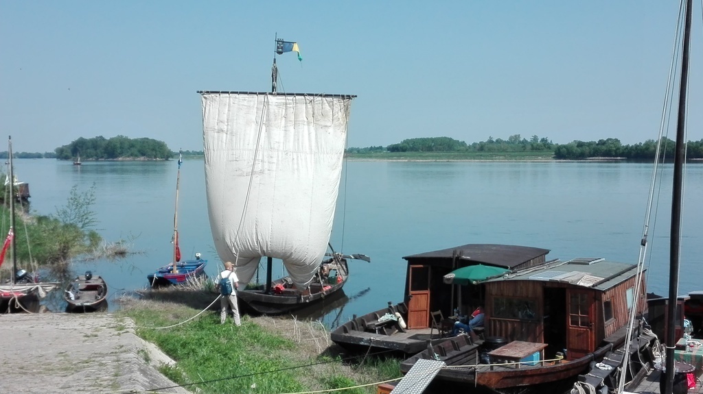 Le Thoureil - La Loire