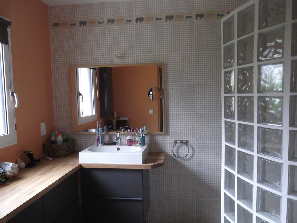 Salle d'eau au rez de chaussée